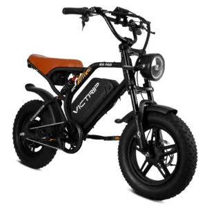 Victrip R6 Off Road Electric Bike
