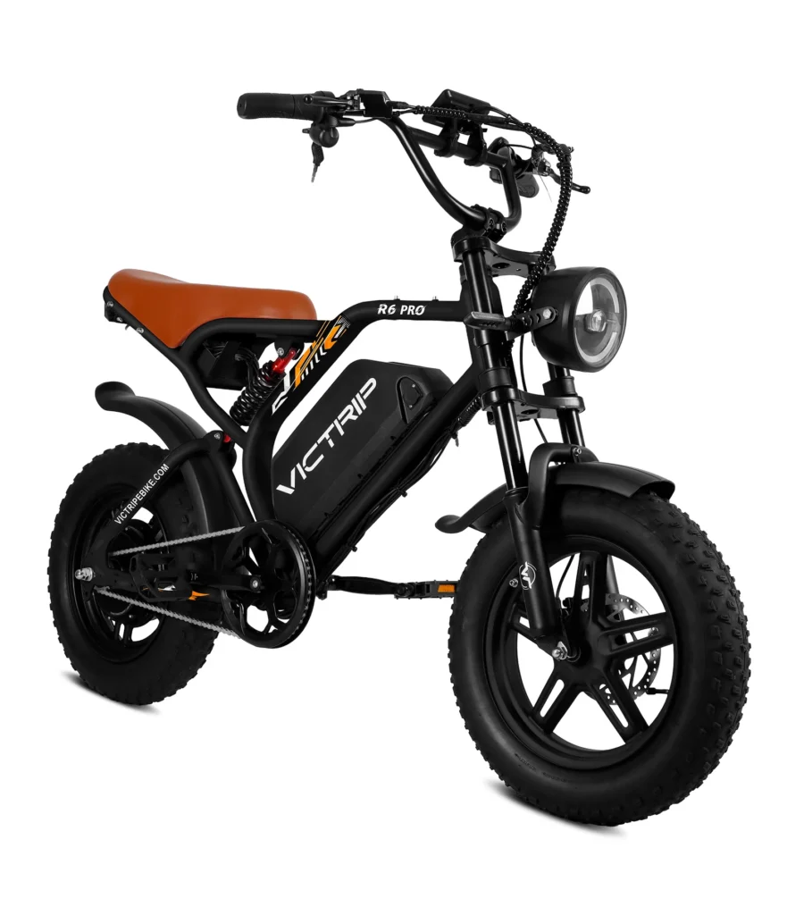 Victrip R6 Off Road Electric Bike